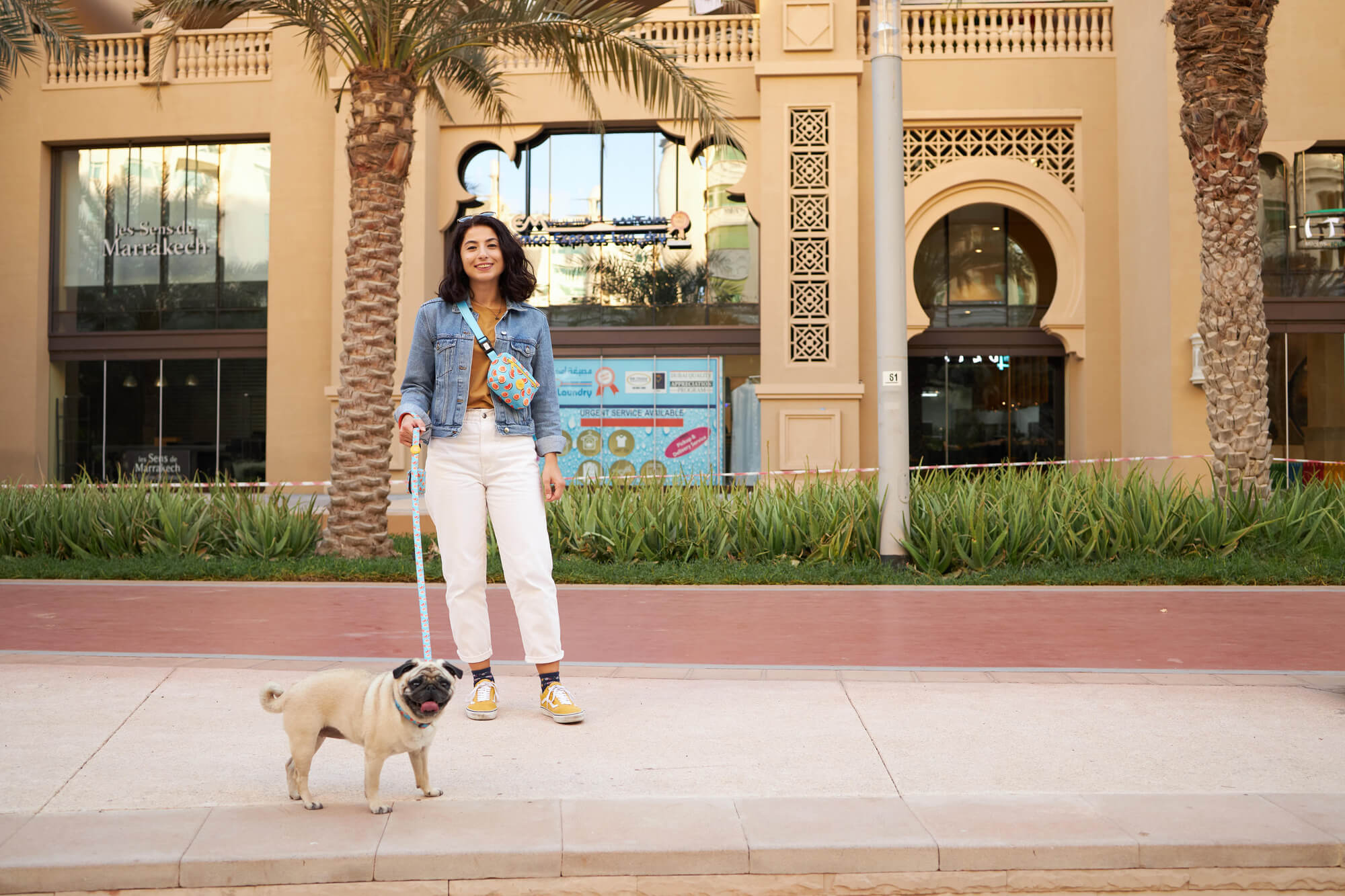 6 Benefits of Dog Walking According to Science