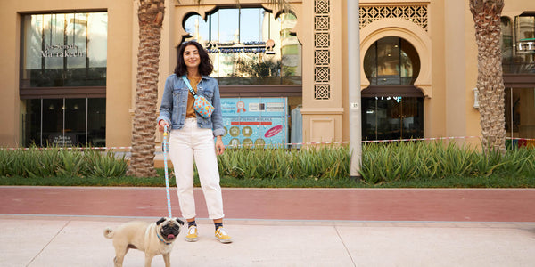 6 Benefits of Dog Walking According to Science