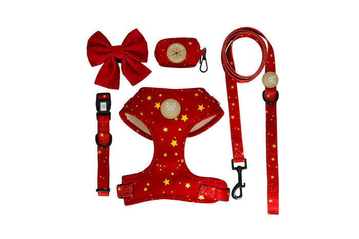 Reach For The Stars Walkie Set