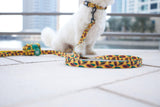Hi Ya, Papaya Leash