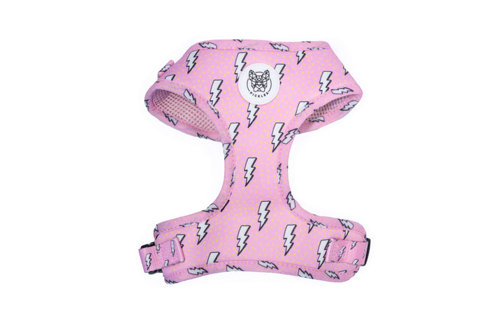 Feel The Thunder Harness