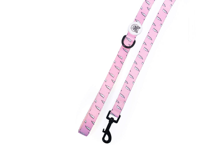 Feel The Thunder Leash