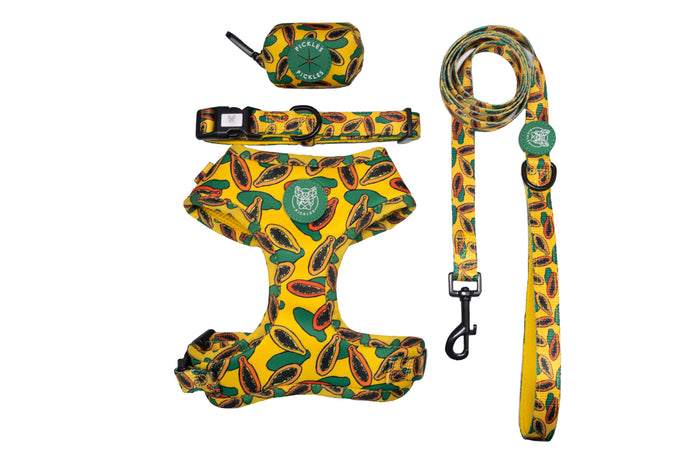 Hi Ya, Papaya Walkie Set