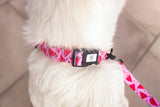 Watermelon Sugar Collar