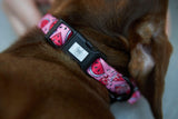 Watermelon Sugar Collar