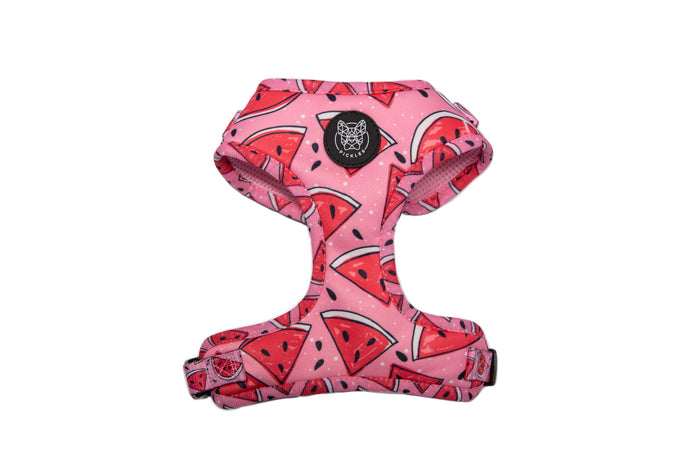 Watermelon Sugar Harness