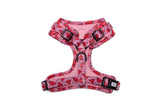Watermelon Sugar Harness