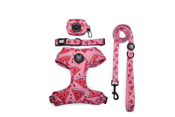 Watermelon Sugar Walkie Set