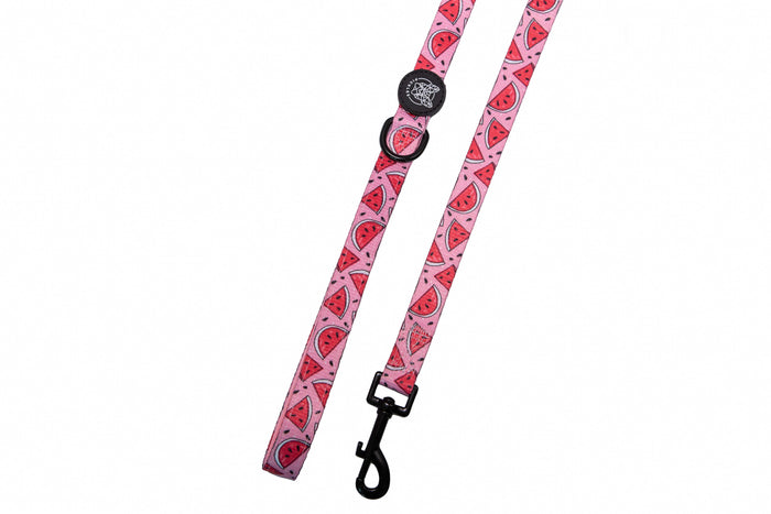Watermelon Sugar Leash