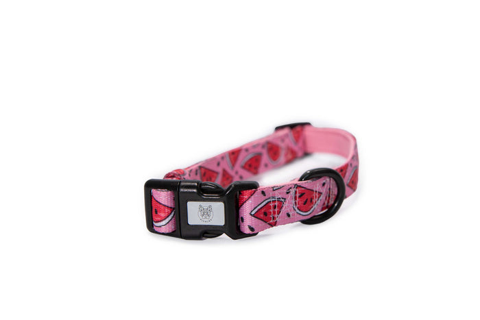 Watermelon Sugar Collar