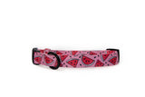 Watermelon Sugar Collar