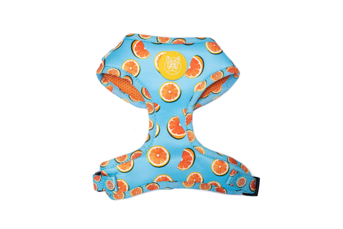 Forever Grapefull Harness - Pickles DXB