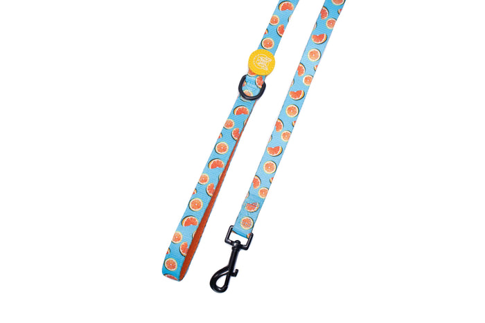 Forever Grapefull Leash - Pickles DXB