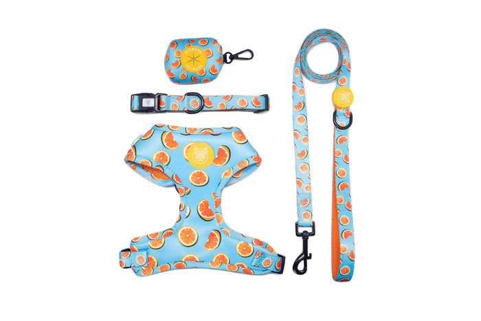 Forever Grapefull Walkie Set - Pickles DXB