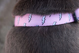 Feel The Thunder Collar