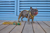Hi Ya, Papaya Walkie Set