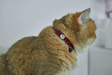 Reach For The Stars Kitty Collar