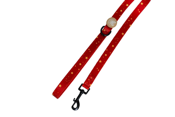 Reach For The Stars Leash