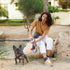 Pet Care 101: 8 Dog Walking Mistakes You Should Avoid