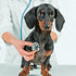 5 Reasons to Get an Annual Checkup for Your Dog