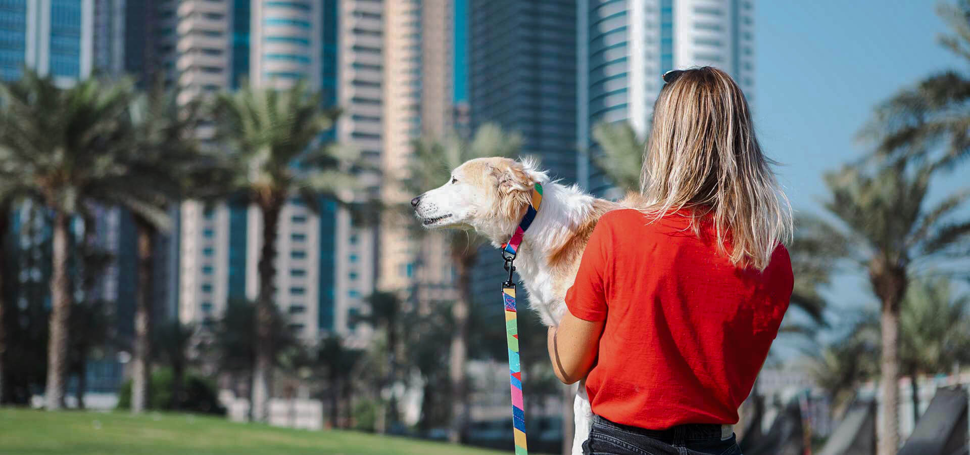 Do's and Don'ts When Caring For Your Dog in Dubai