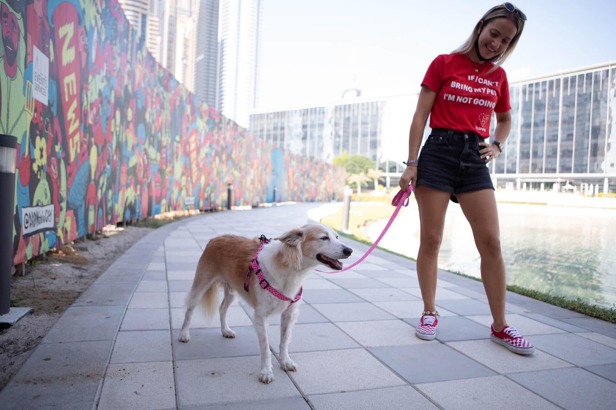 6 Great Reasons to Volunteer at the Local Dog Shelter