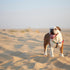 Everything You Need to Know About Heatstroke for Dogs